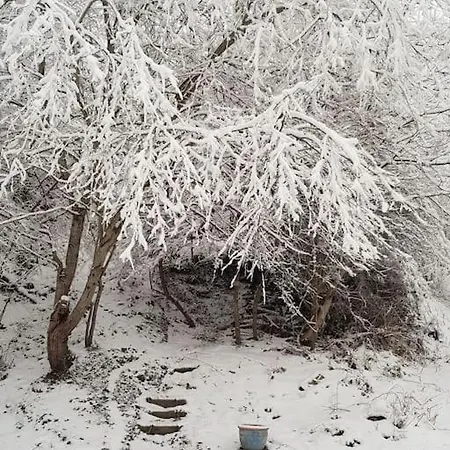 Holiday home Via Nova, 12 Personnes, 150 M2